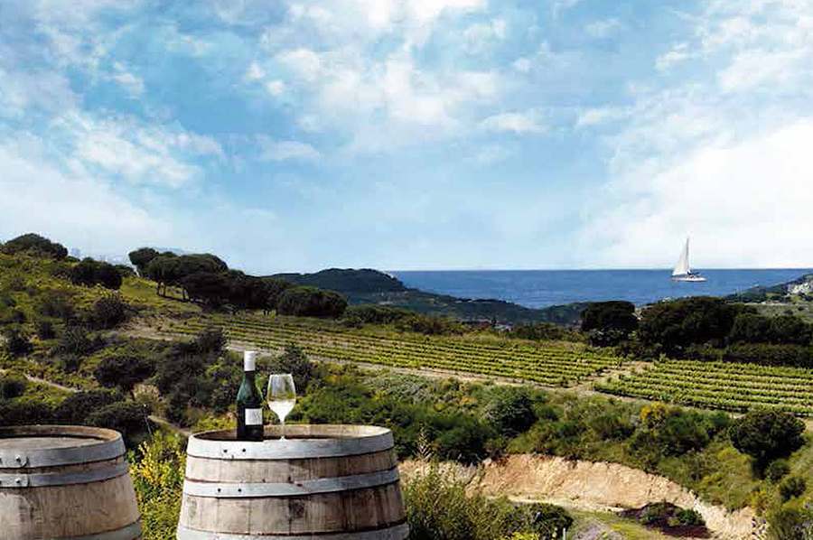 ACQUAMARINA_GRAND_VILLA_VINEYARDS